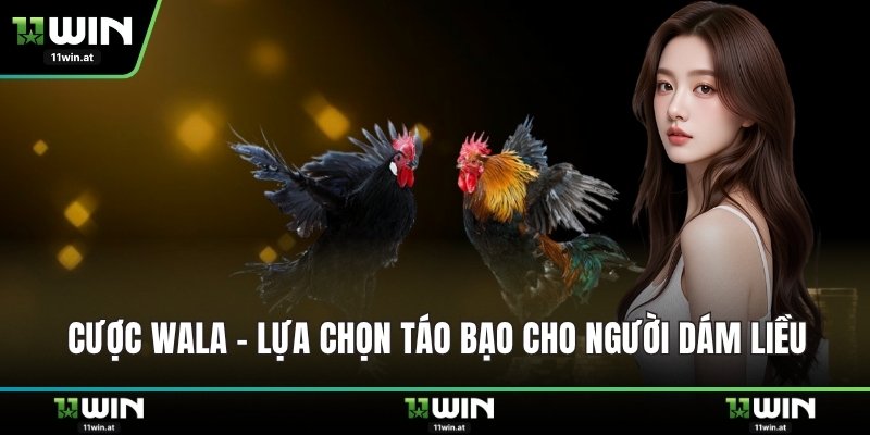 Cược Wala – lựa chọn táo bạo cho người dám liều