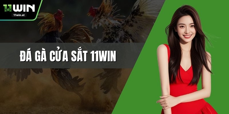 Đá Gà Cửa Sắt 11WIN – Cuộc Chiến Của Các Chiến Kê Thép